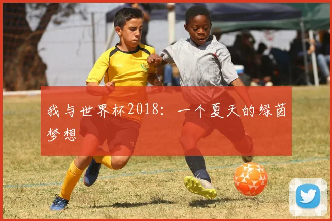 我与世界杯2018：一个夏天的绿茵梦想