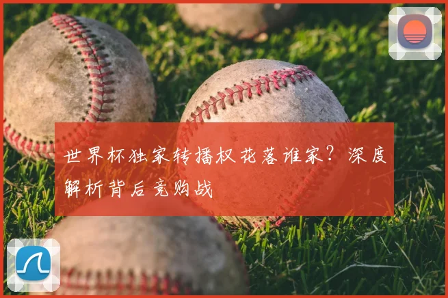 世界杯独家转播权花落谁家？深度解析背后竞购战