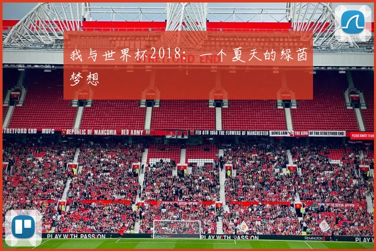 我与世界杯2018：一个夏天的绿茵梦想