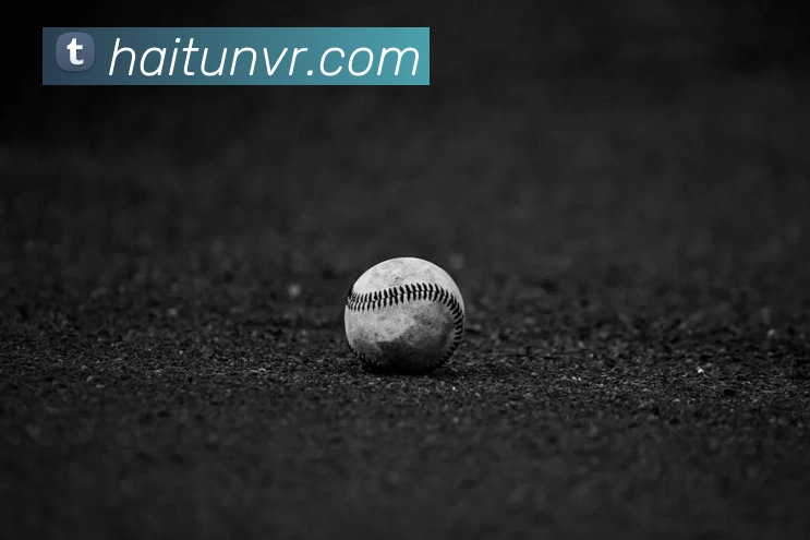 金年汇网页版登录入口平台生态图